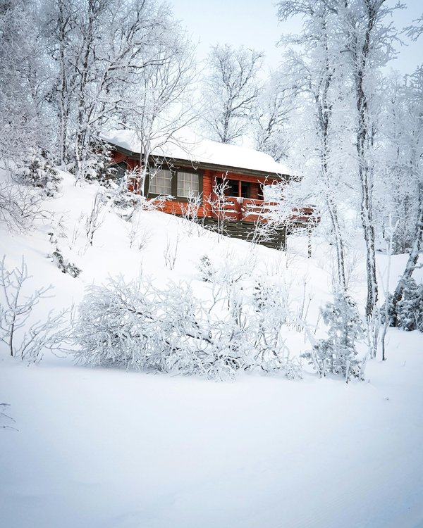 Unveiling the charm of real estate in La Tania today